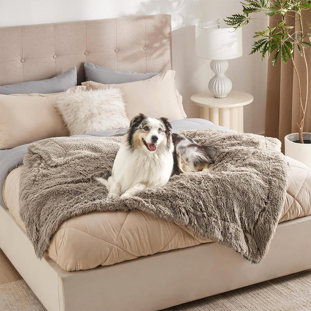 Best Bed Sheet Options for Dogs: Comfort, Durability, and Style