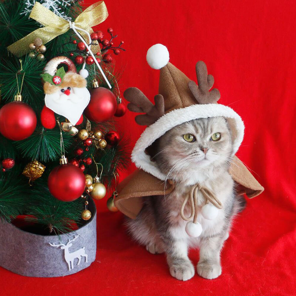 Weihnachtlicher, schicker, warmer Schal-Poncho mit Kapuze für Hunde und Katzen