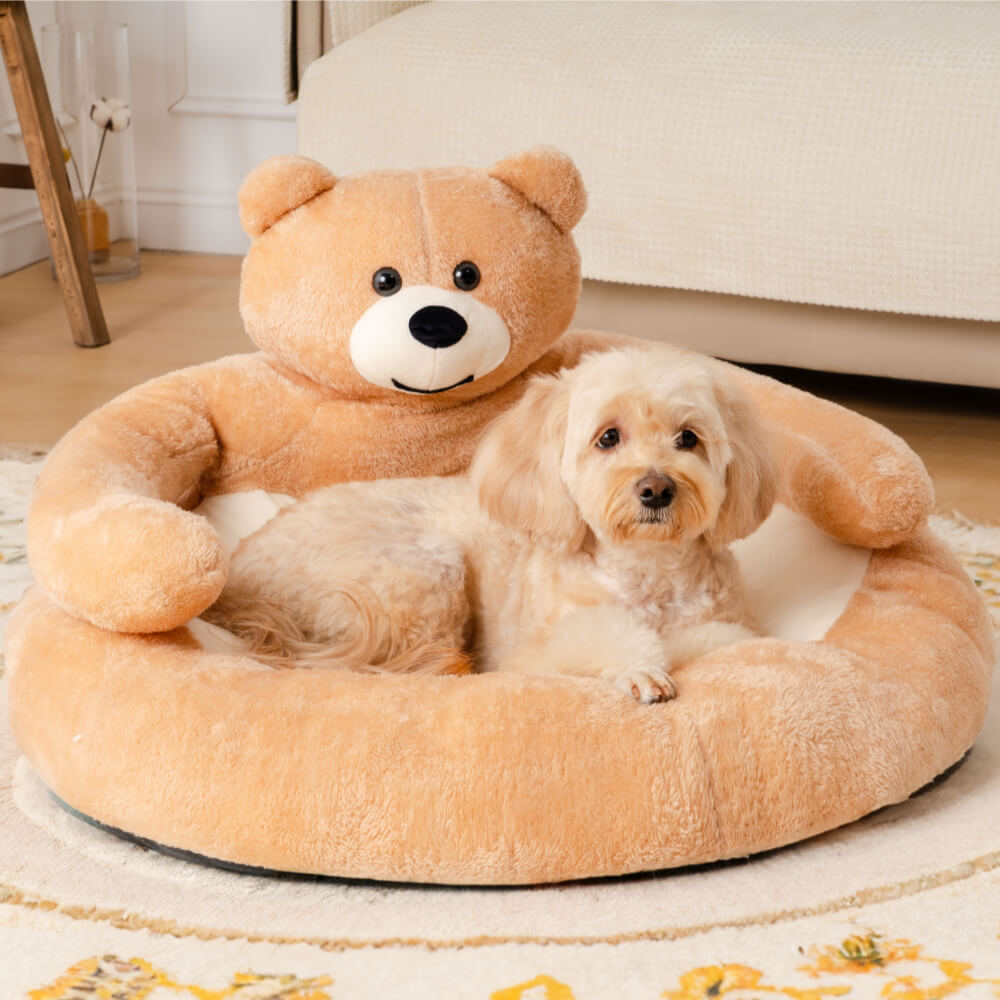 Cute Detachable Cuddle Bear Cat Bed