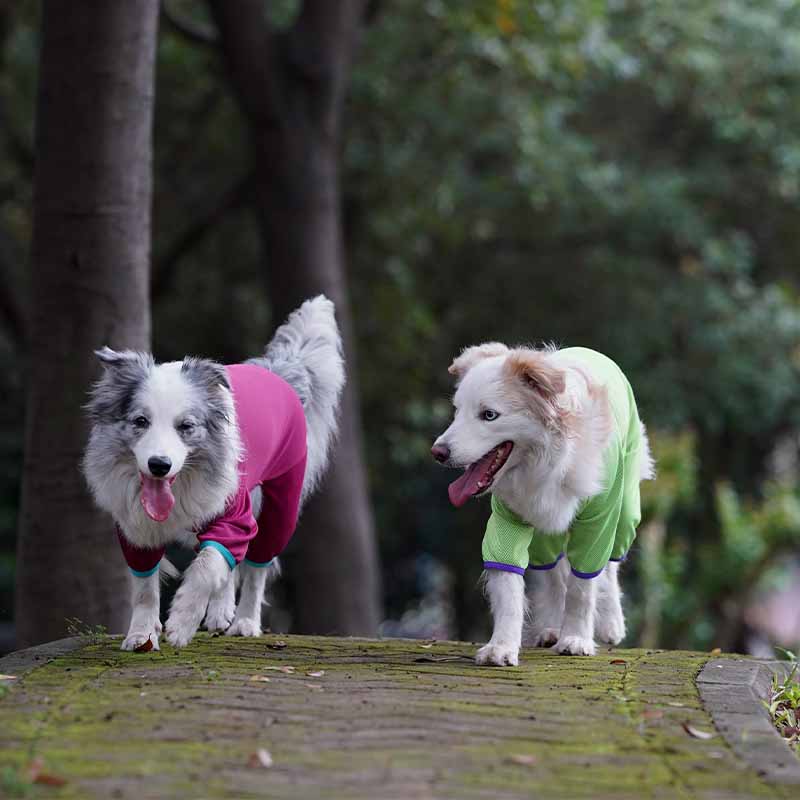 Camisas para cães de quatro patas de secagem rápida Colete de resfriamento para cães