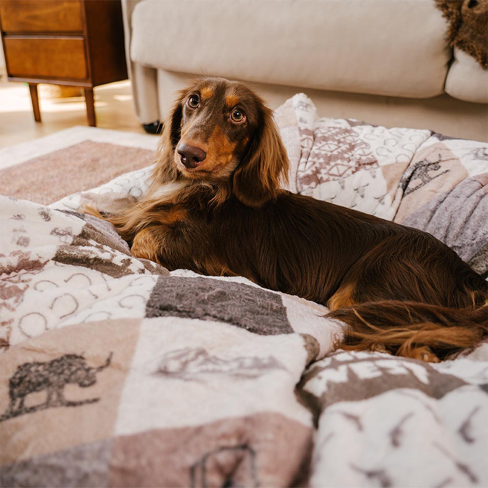 Waschbares, kratzfestes, beruhigendes rundes Hundebett im Boho-Stil mit Quasten – Hunter Night