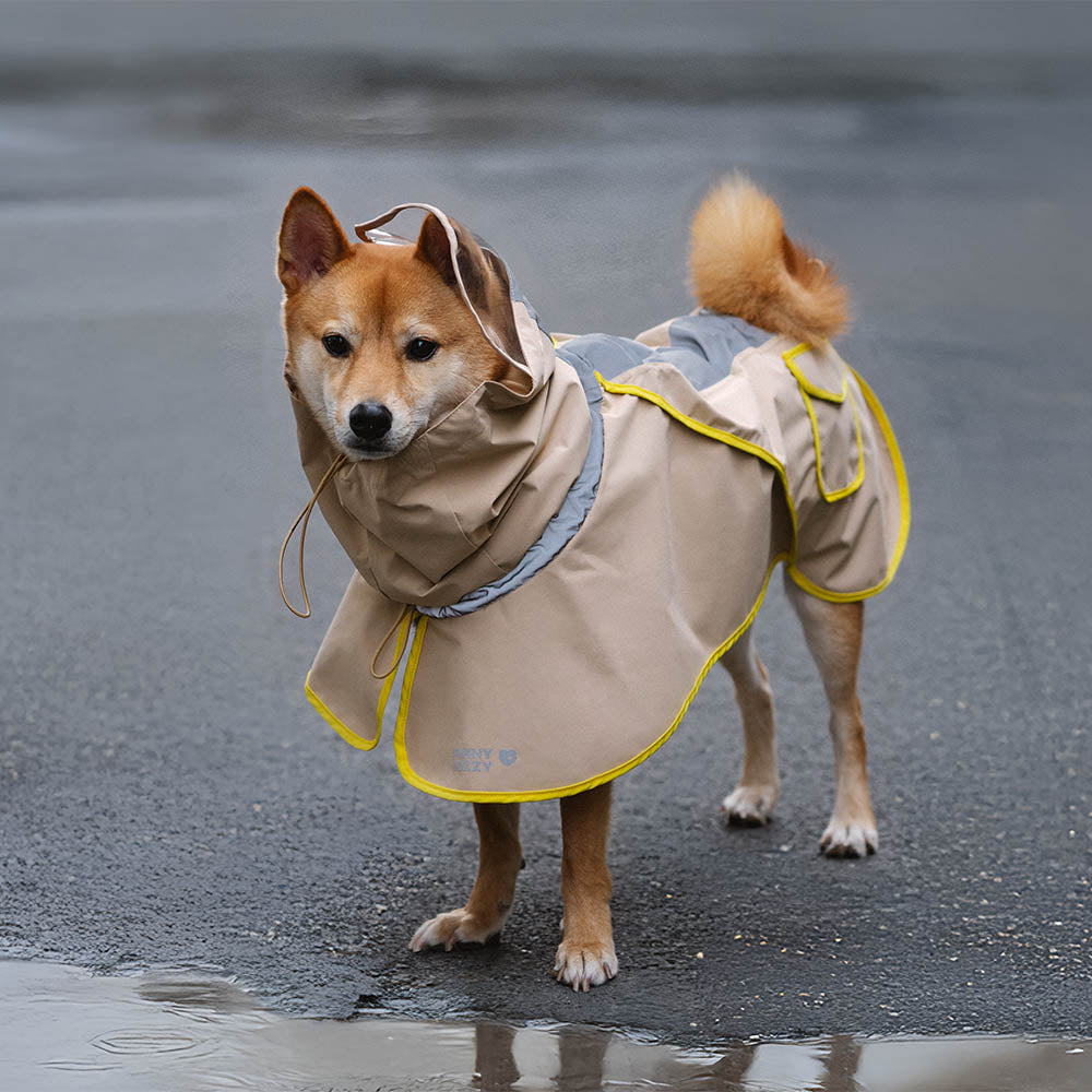 Verstellbarer, reflektierender, wasserdichter Regenmantel mit passender Tasche für Hunde und Menschen – bleibt trocken