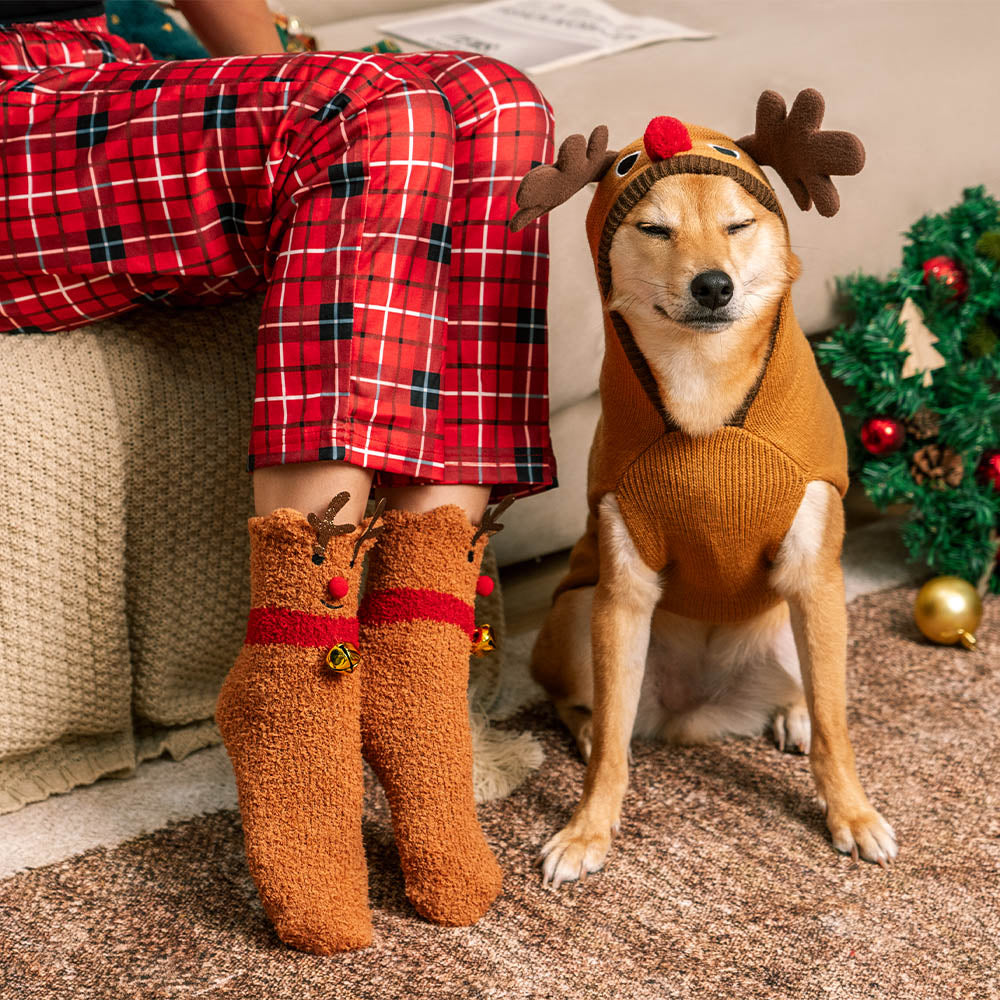 Pull de noël à col roulé pour chien, épais et chaud, chaussettes assorties pour animal de compagnie et propriétaire