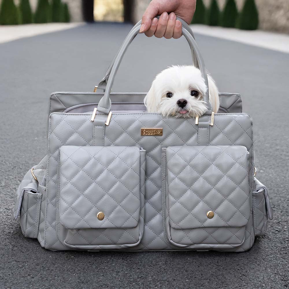 Large Carrying Stylish Multi-Functional Human-Dog Shared Travel Pet Bag - Wandering Tail