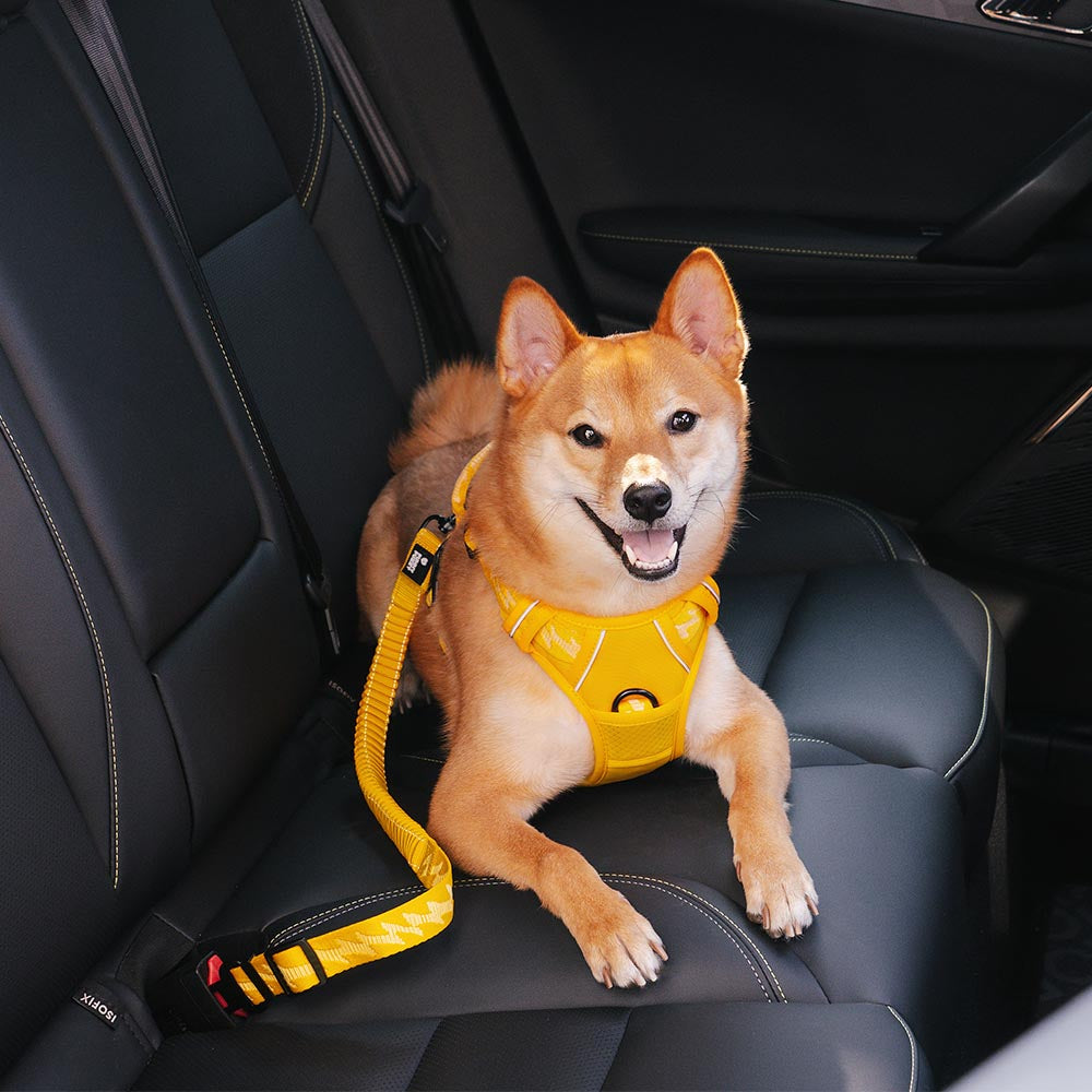 Ceinture de sécurité de voiture d'accessoires de chien frais réglables de tampon