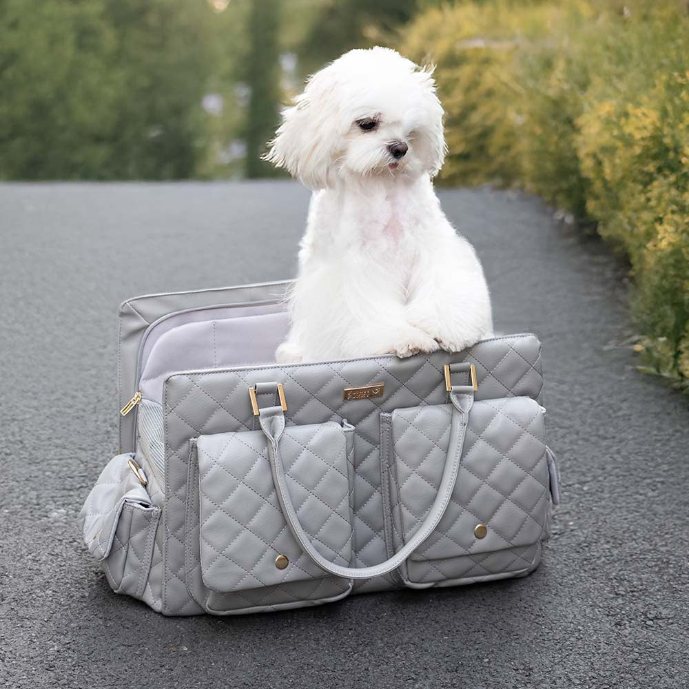 Large Carrying Stylish Multi-Functional Human-Dog Shared Travel Pet Bag - Wandering Tail