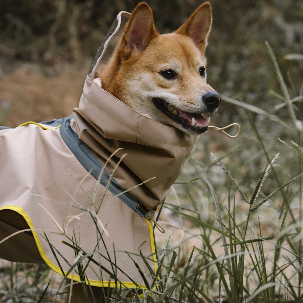 Imperméable réfléchissant réglable avec poche pour chien, imperméable assorti pour rester au sec