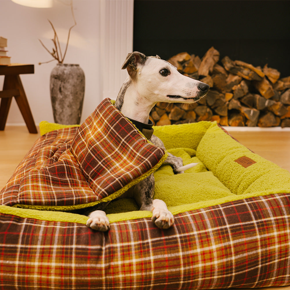 Grands lits pour chiens à couverture pliante en tartan vintage lavable - Avocuddle