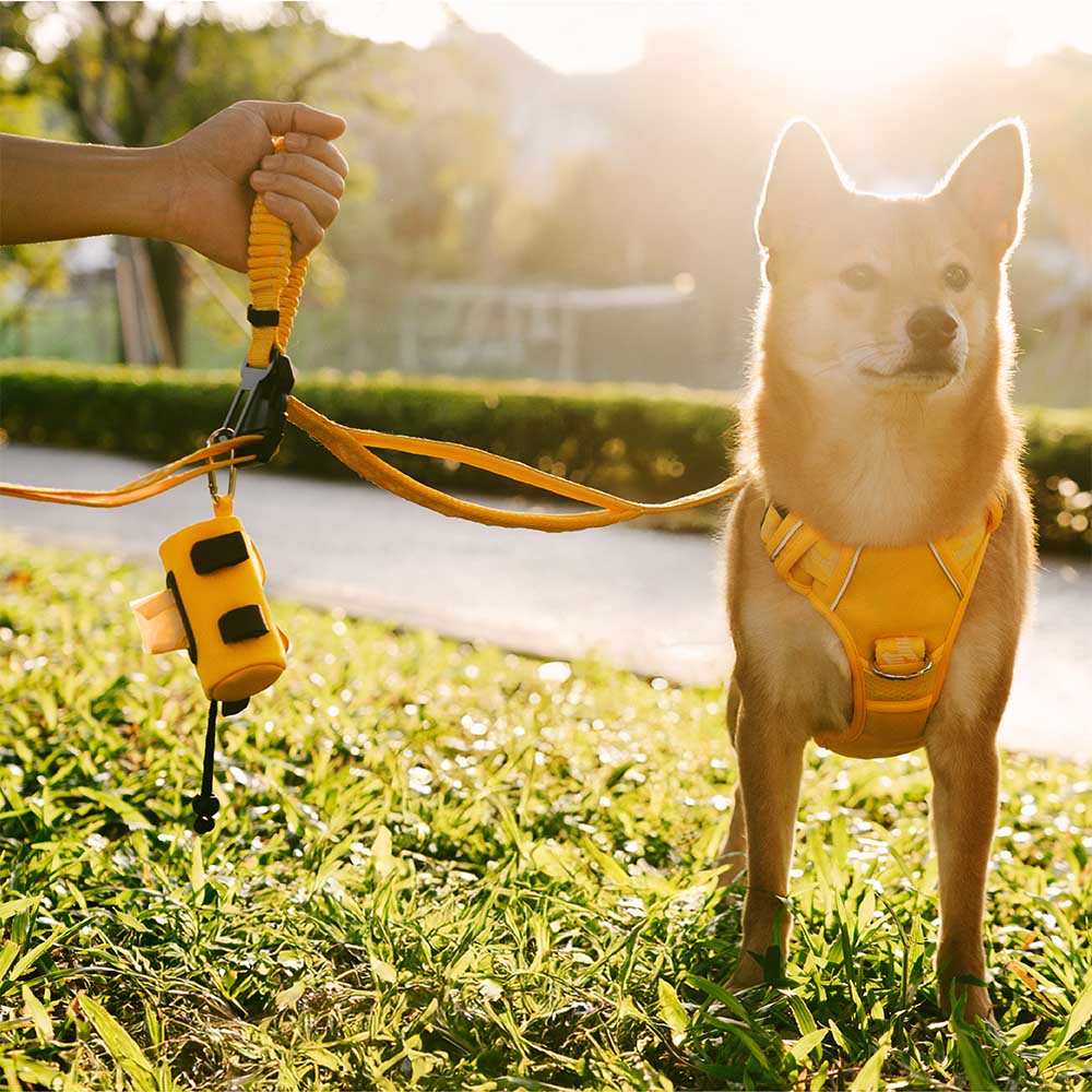 FUNNYFUZZY Waterproof Leash Attachable Poop Bag Dispenser - Flexi Walker