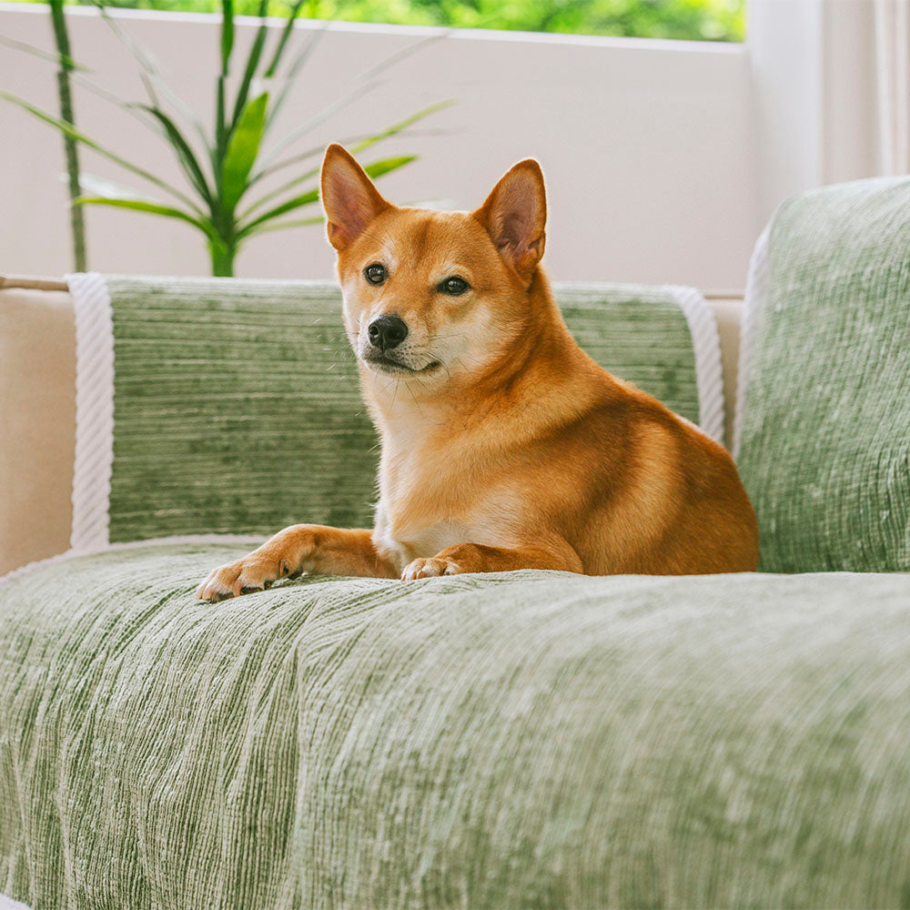 Tapis antidérapant rayé toutes saisons pour animaux de compagnie, protection de meubles avec accoudoir, housse de canapé, reste immobile