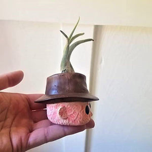 Horror Movie Planter Mini Planter Gift