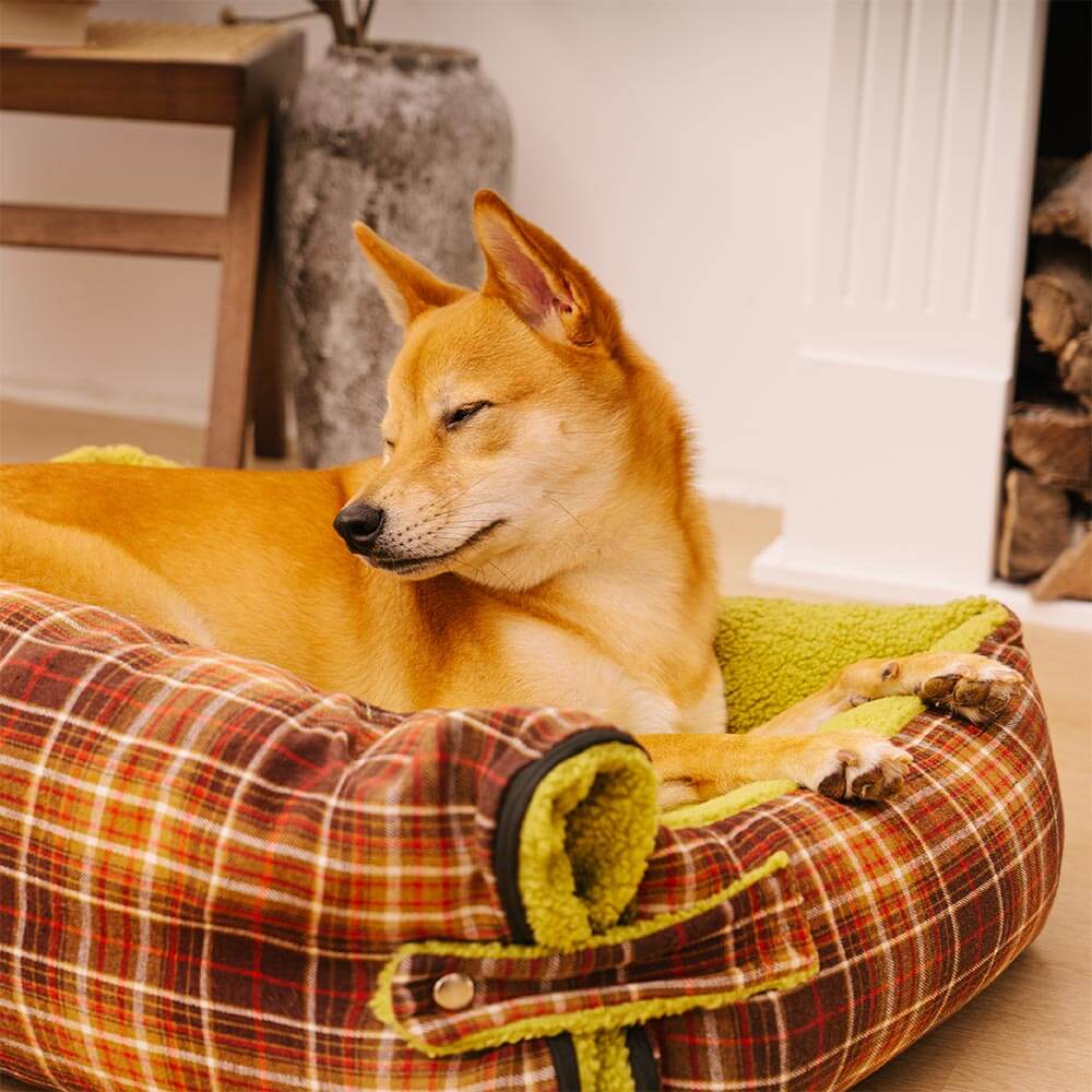 Cama plegable para perros con manta y diseño vintage de tartán lavable - Avocuddle