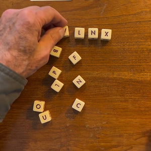 The Crossword Solitaire Game