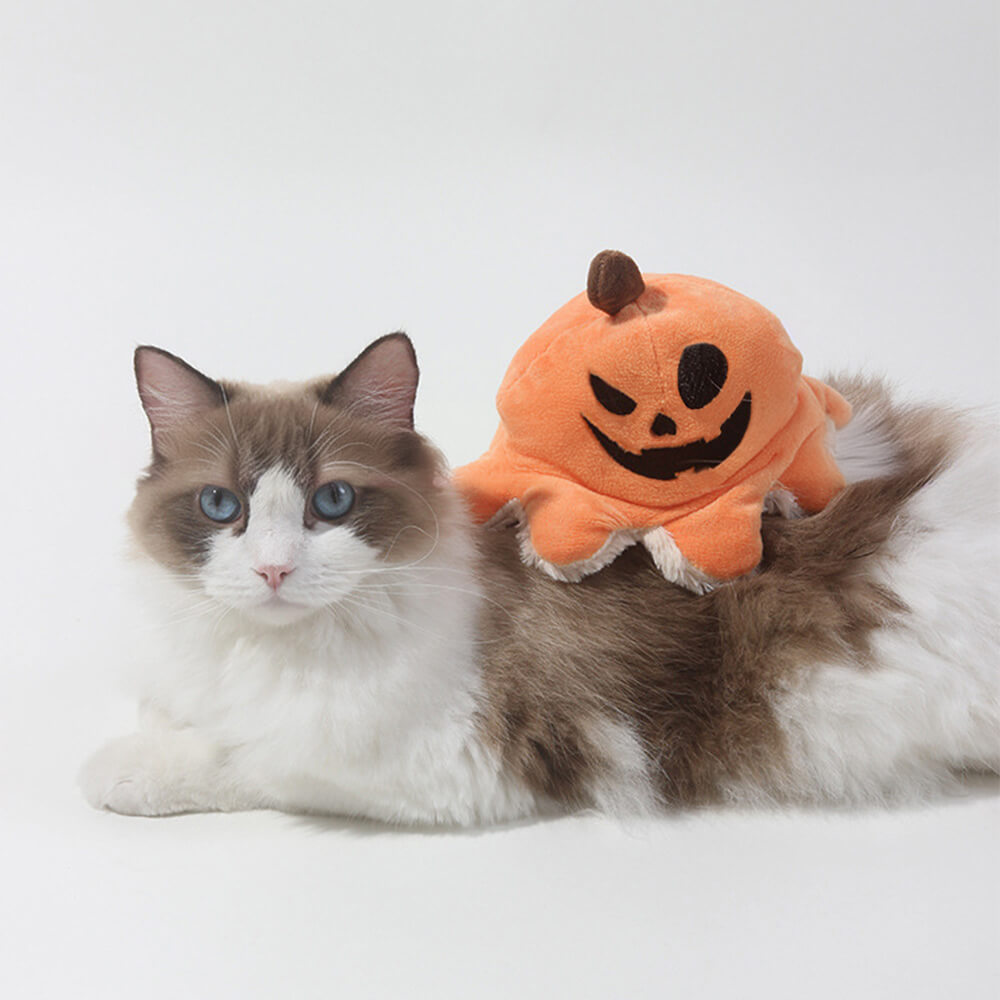 Halloween-Piraten-Kürbis-Oktopus, wendbares Flip-Plüsch-Hundespielzeug