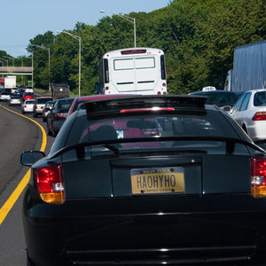 License Plate Protector