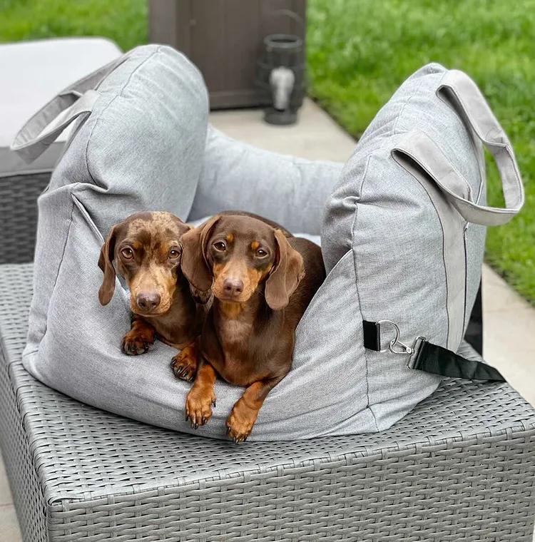 Cama para Cachorro - Primeira Classe