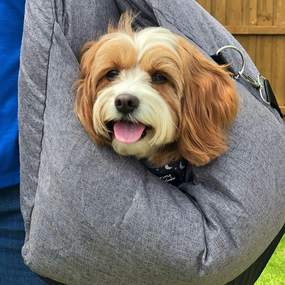 Cama para asiento de seguridad para perros y cachorros Travel Safety - Primera clase