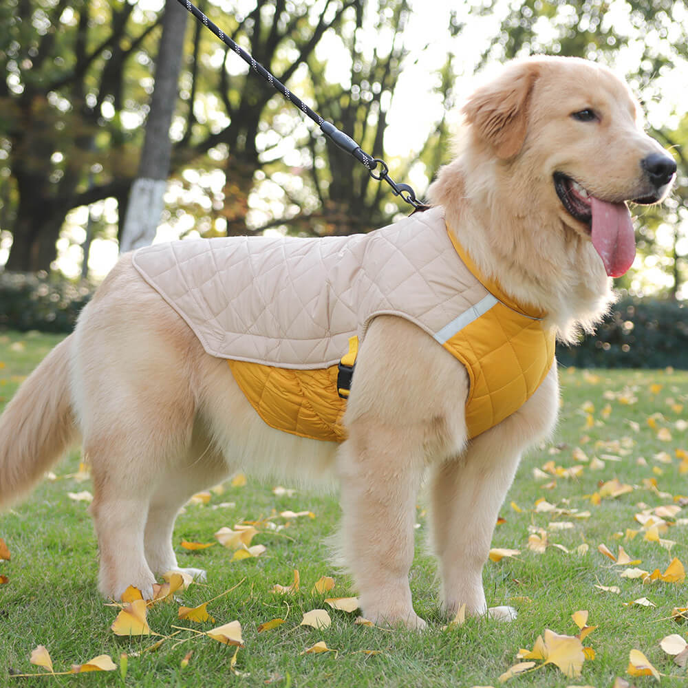 Veste matelassée réglable pour chien – Chaude et sûre pour les promenades hivernales