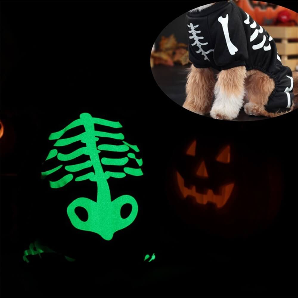 Im Dunkeln leuchtendes Skelett-Hundekostüm – perfekt für die Halloween-Nacht