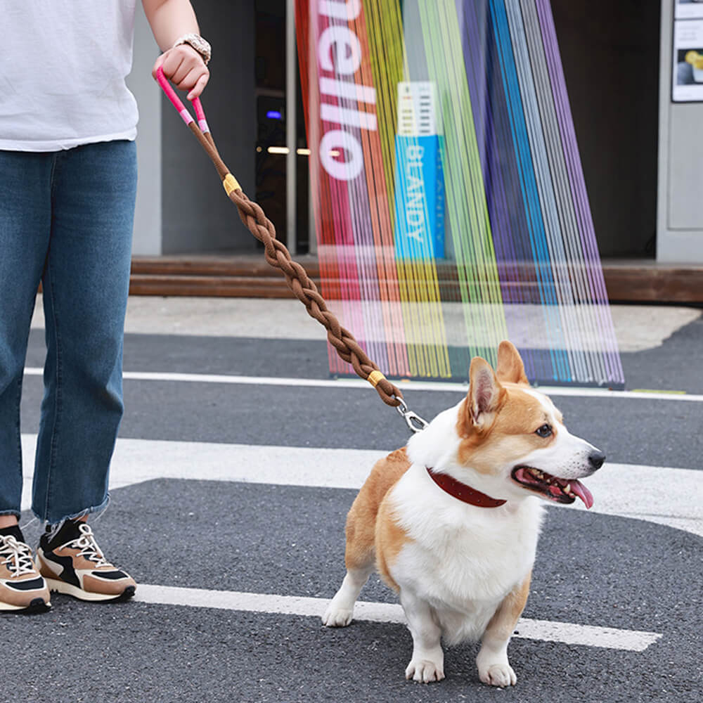 Handgewebtes Zugseil für Hunde – dick und langlebig für bequeme Spaziergänge