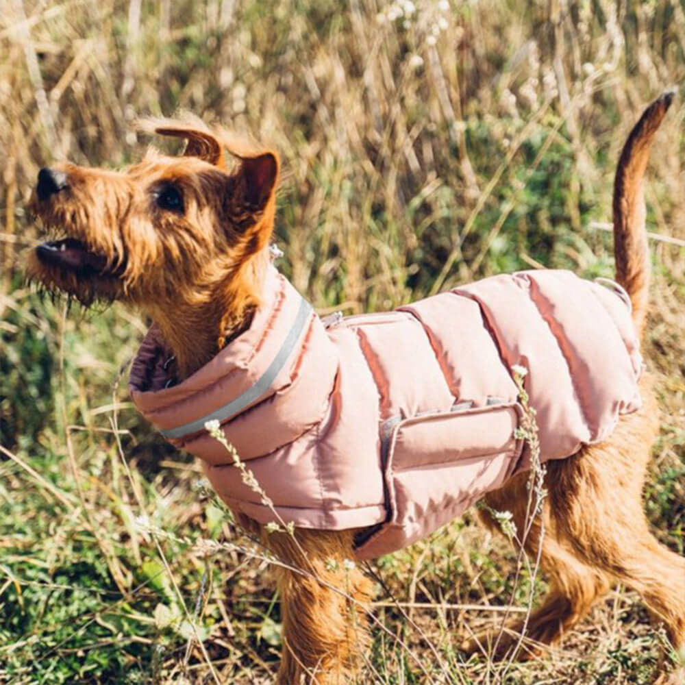 Gilet chaud imperméable et coupe-vent – ​​Le nec plus ultra en matière de chaleur et de style hivernal