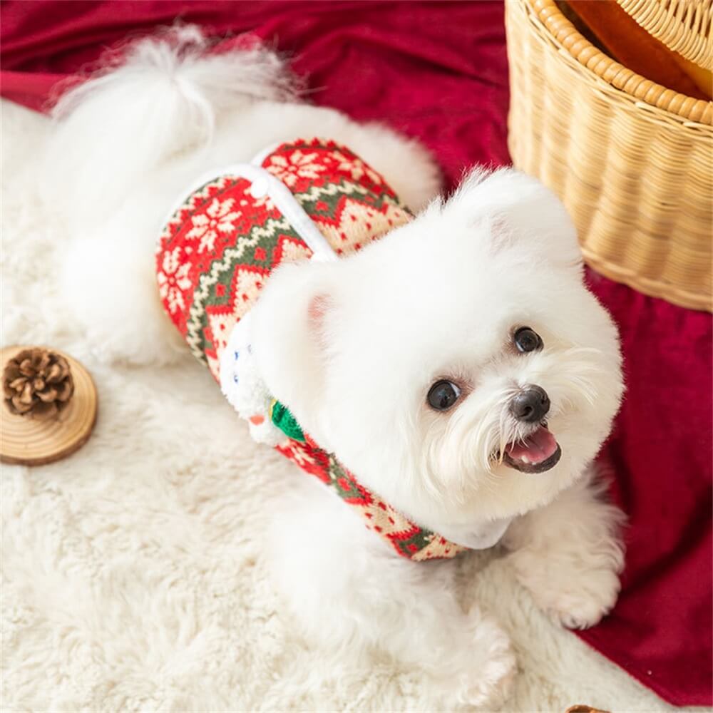 Pull pour chien en tricot ours festif – confortable et parfait pour les vacances