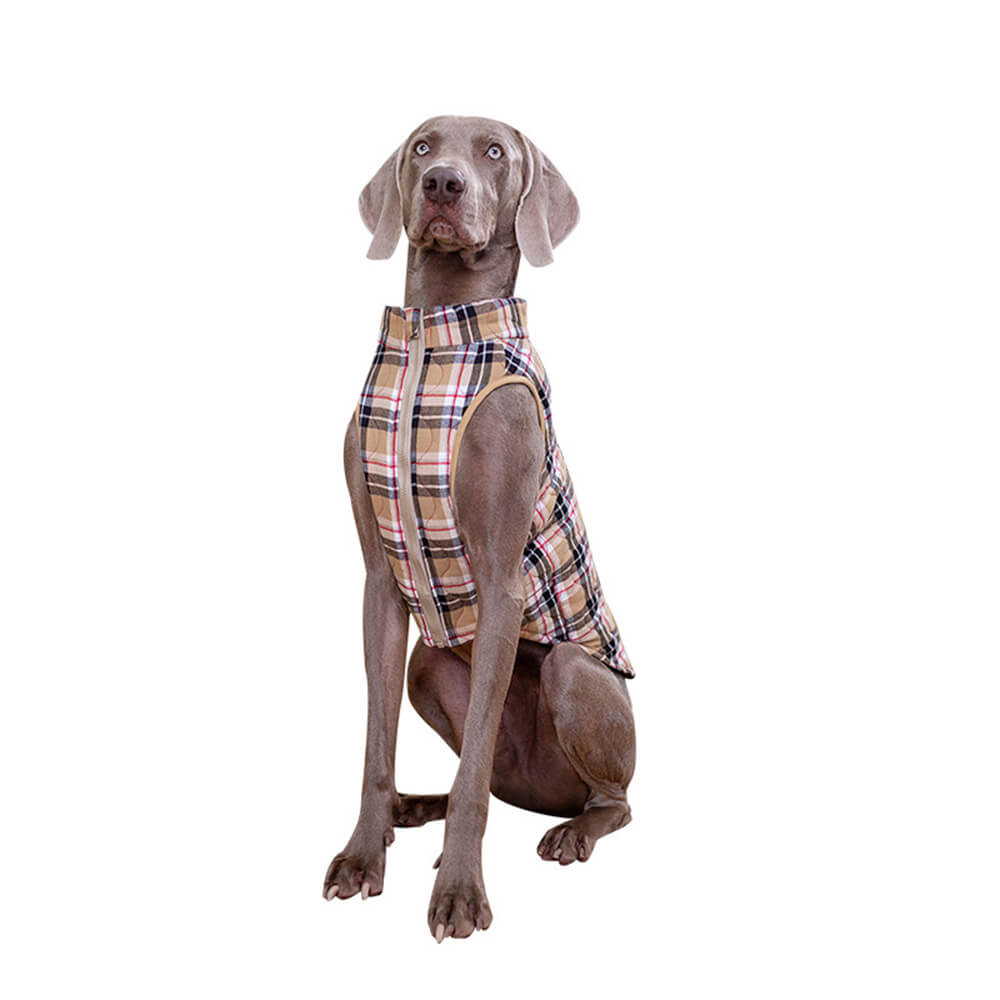 British Style Plaid Dog Vest Padded Jacket with D-Ring