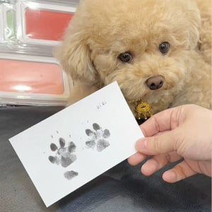 Pet Paw Printing Kit