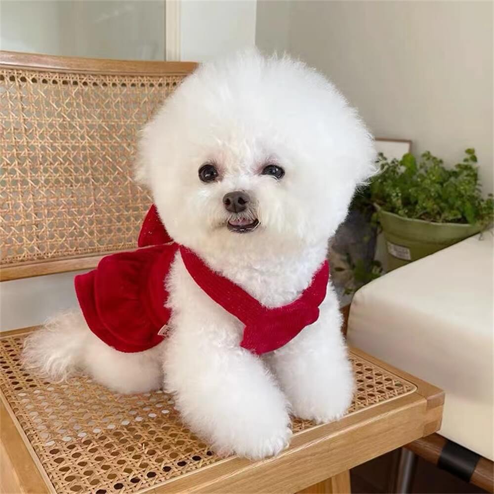 Robe pour chien en velours à nœud rouge – Parfaite pour les occasions spéciales !