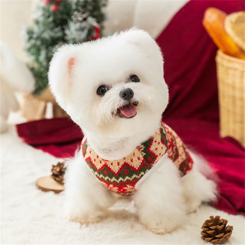 Pull pour chien en tricot ours festif – confortable et parfait pour les vacances