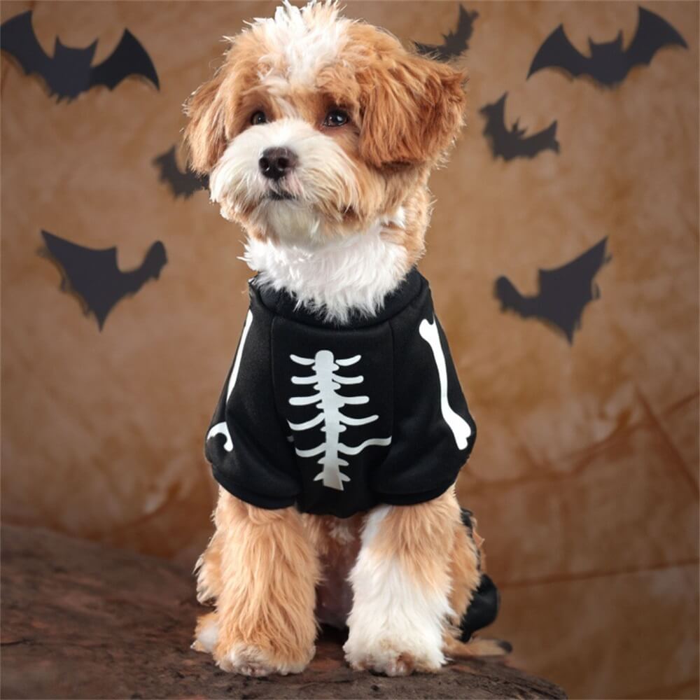 Costume de chien squelette qui brille dans le noir – Parfait pour la nuit d'Halloween