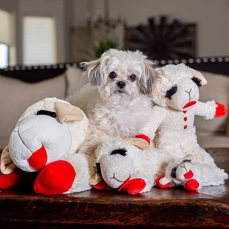 Juguete interactivo para perros de juguete con chirriador de cordero de peluche