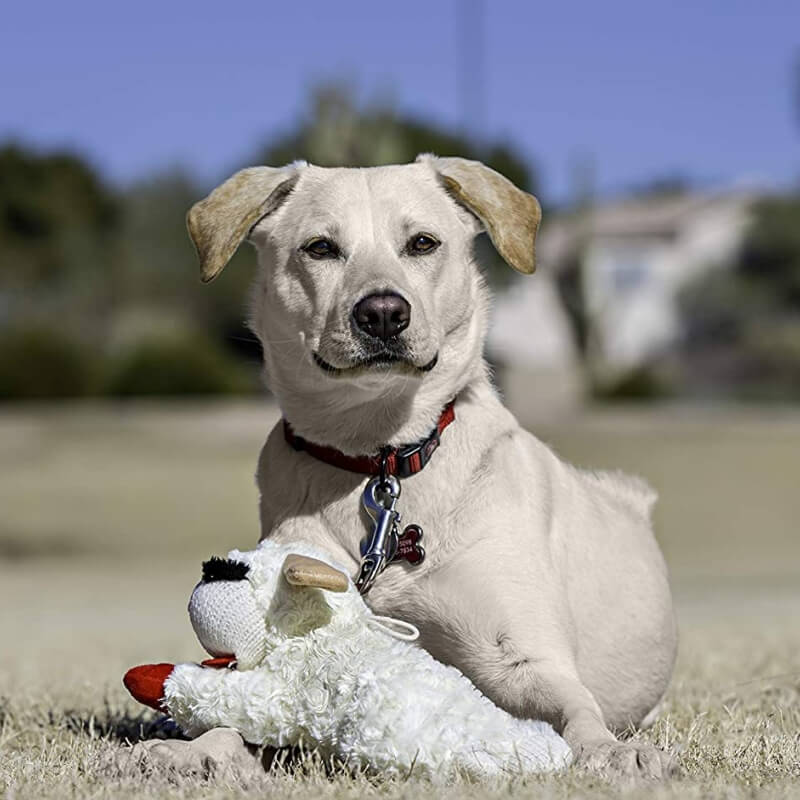 Plüsch-Lamm-Quietschspielzeug, interaktives Hundespielzeug