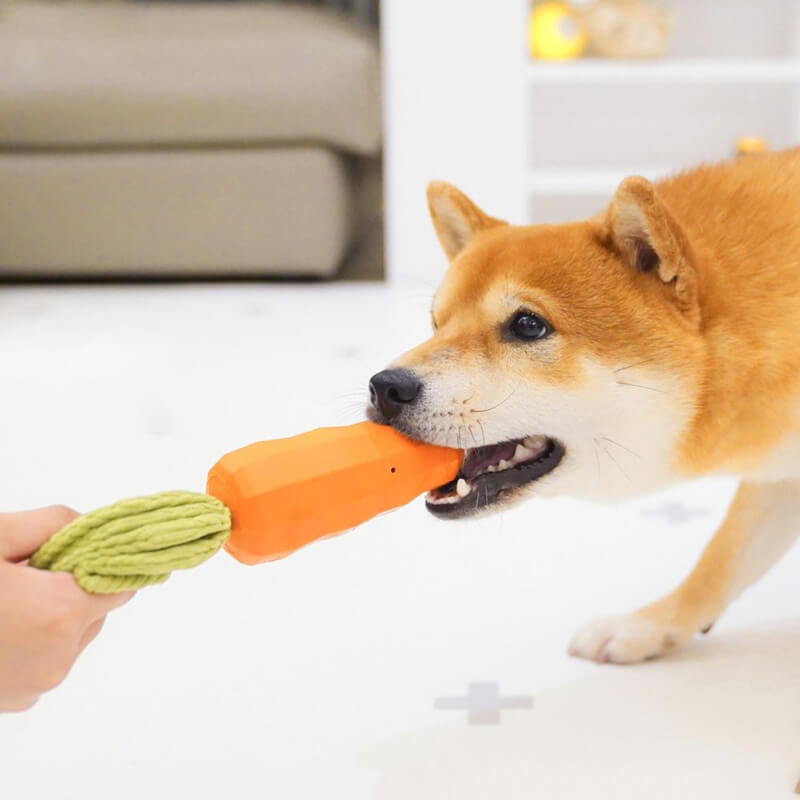 Juguete chirriante de zanahoria, juguete duradero para masticar para perros