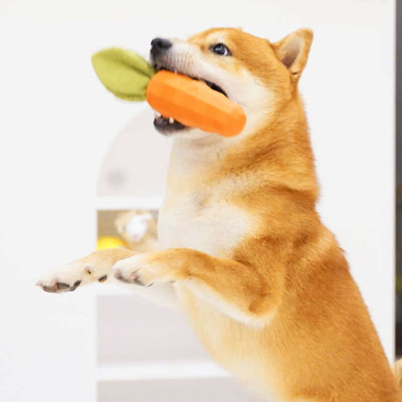 Juguete chirriante de zanahoria, juguete duradero para masticar para perros