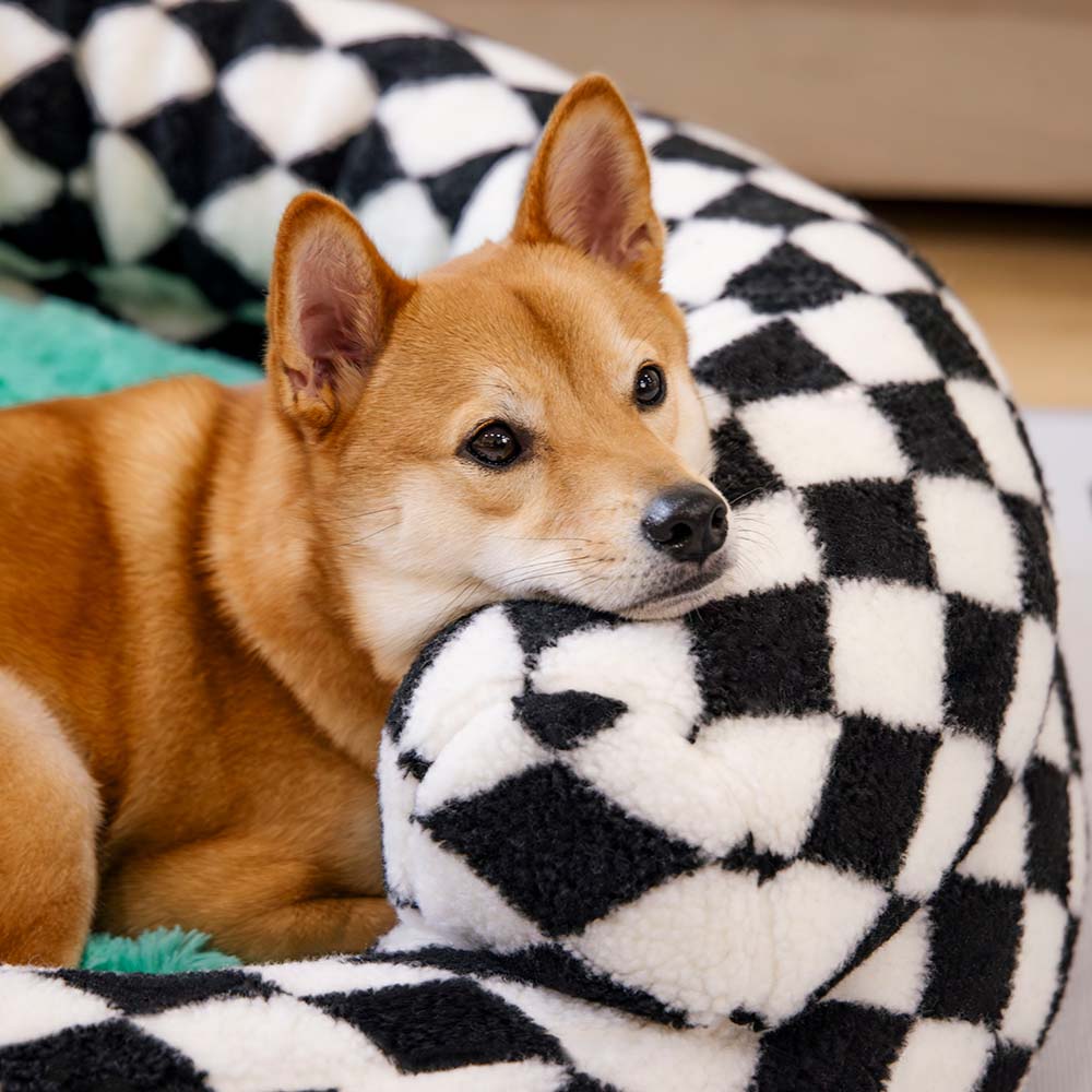 Klassisches, waschbares Donut-Hundebett mit Argyle-Muster – Cozy Haven