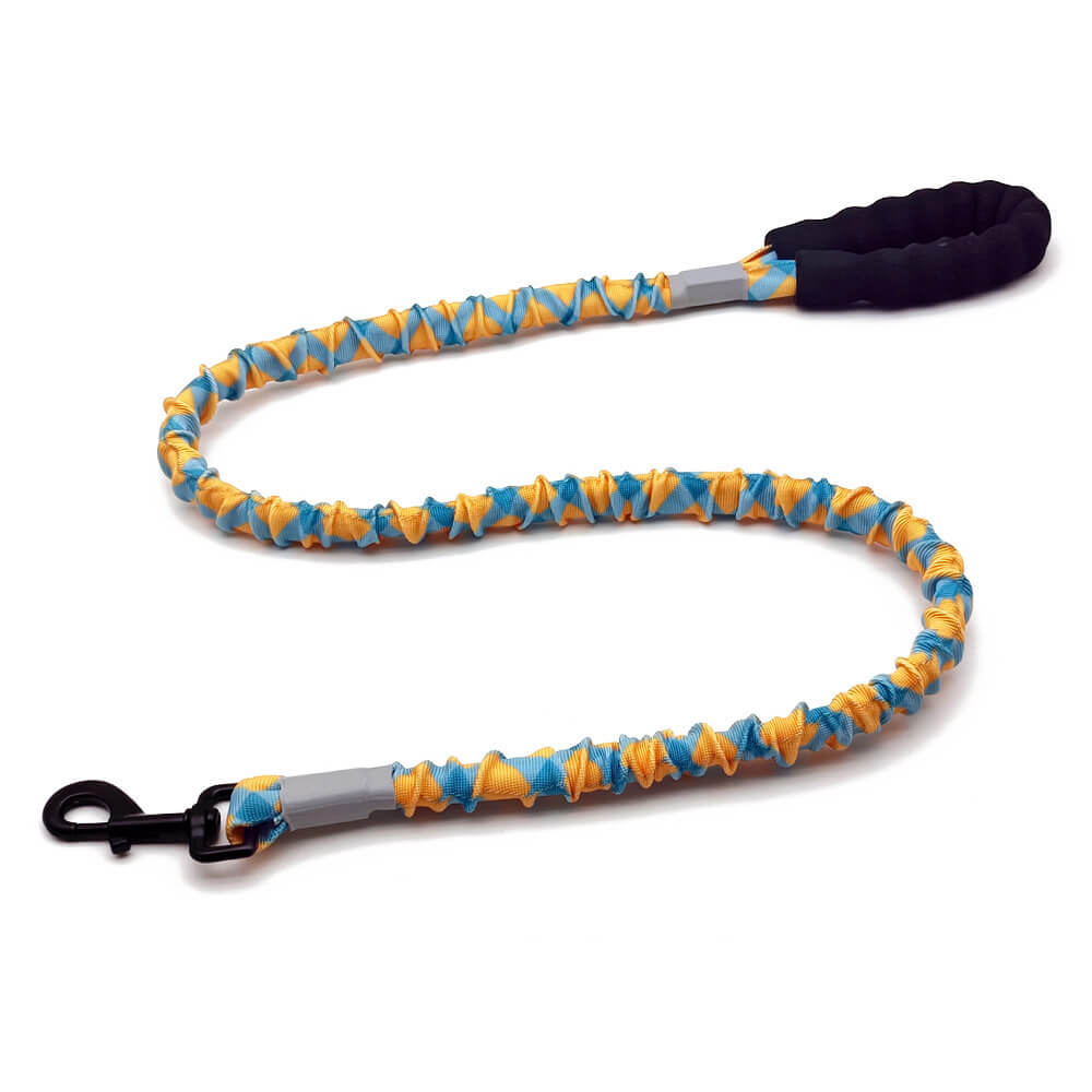 Colorful High Elasticity Traction Rope Large Dog Leash And Collar