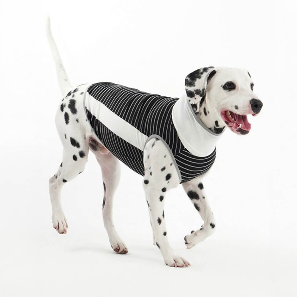 Gilet rafraîchissant pour chien, respirant, rayé, en soie glacée, coloré