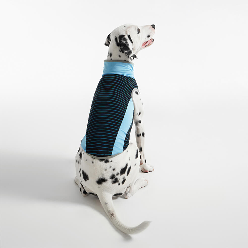 Gilet rafraîchissant pour chien, respirant, rayé, en soie glacée, coloré