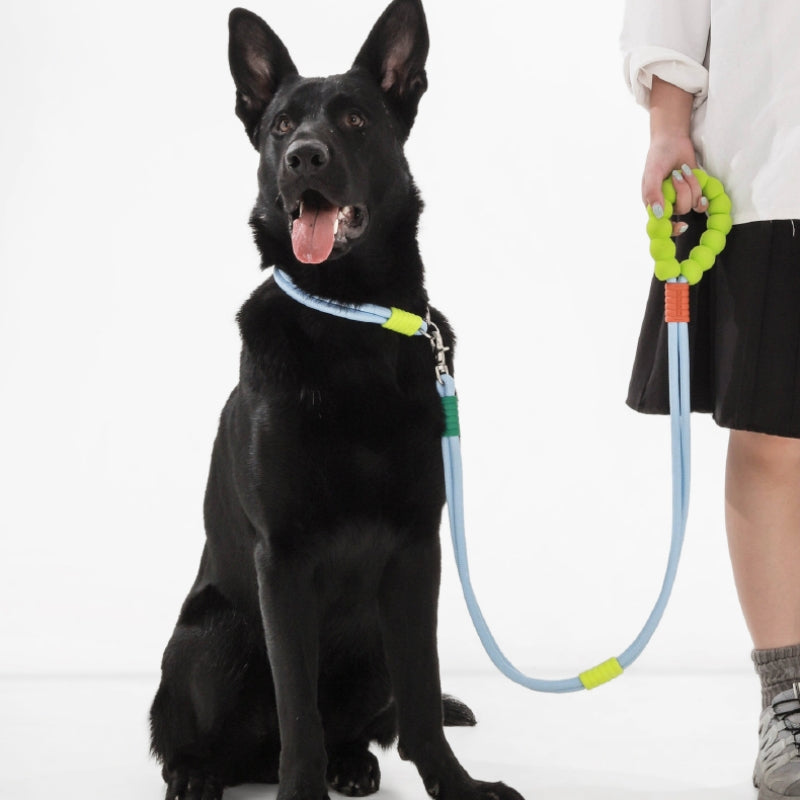 Trela ​​de caminhada para cães trançada de seção dupla de algodão doce