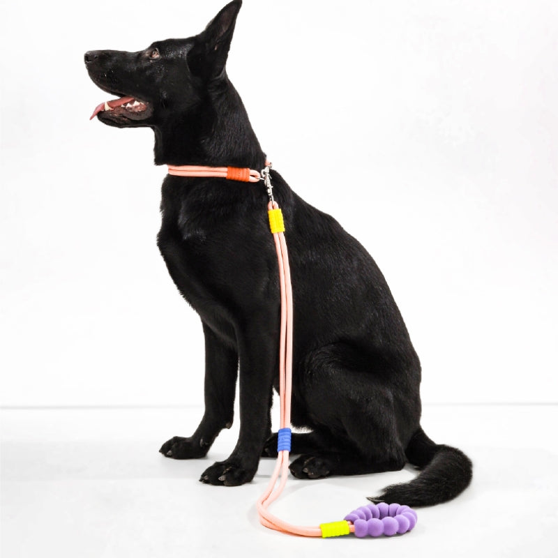 Cotton Candy Dual-Section Braided Dog Walking Leash