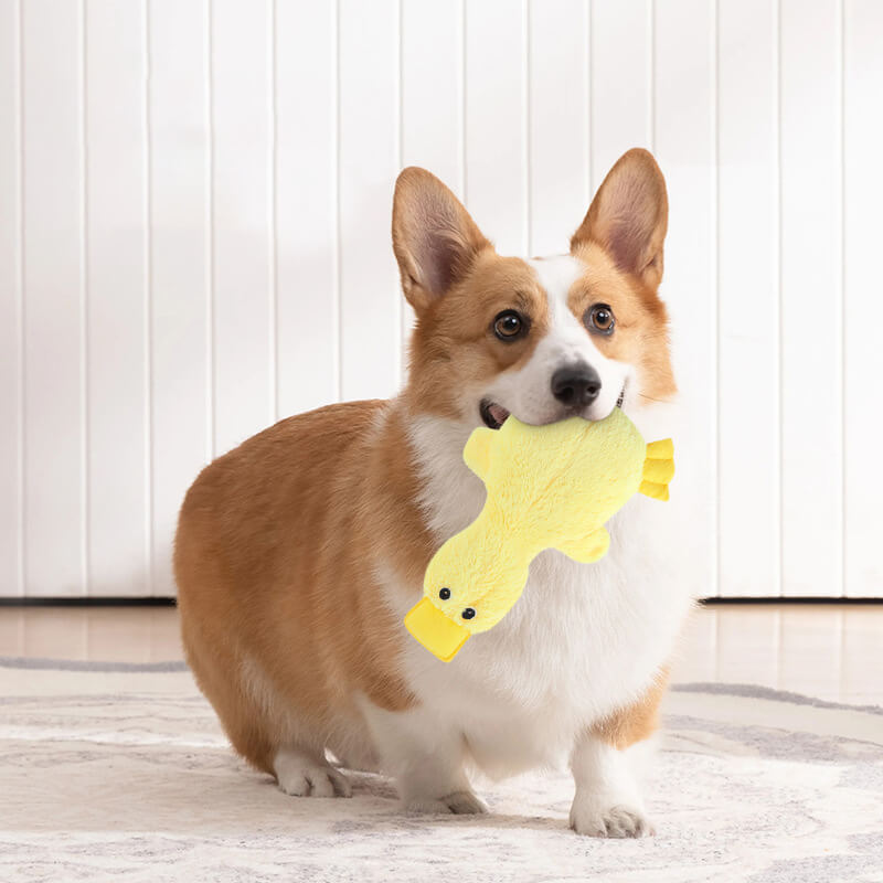 Lindo pato de peluche con juguete masticable para perros con chirriador