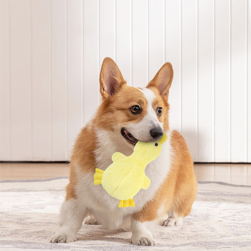 Lindo pato de peluche con juguete masticable para perros con chirriador