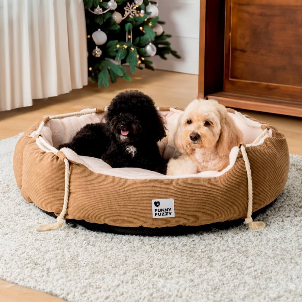 Cama divertida para animais de estimação com corda ajustável e resistente à mastigação para cães e gatos