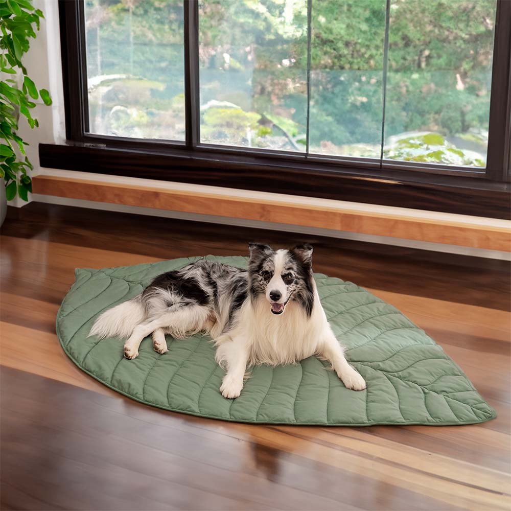 Couverture pour chien en forme de feuille