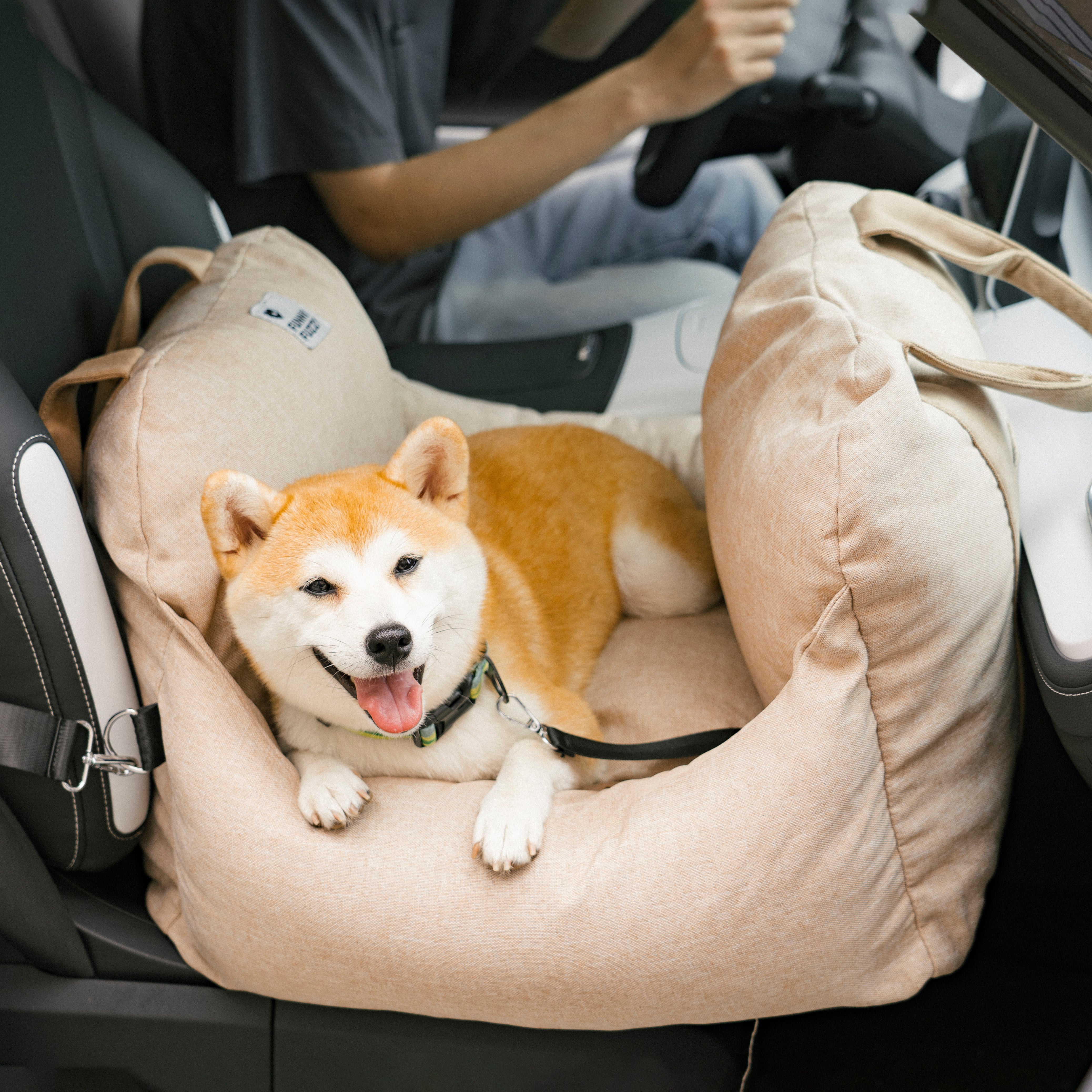 Cama para asiento de seguridad para perros y cachorros Travel Safety - Primera clase