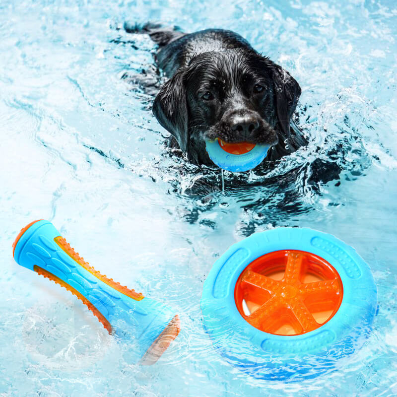 Jouet à mâcher interactif pour chien, jouet d'eau flottant d'extérieur