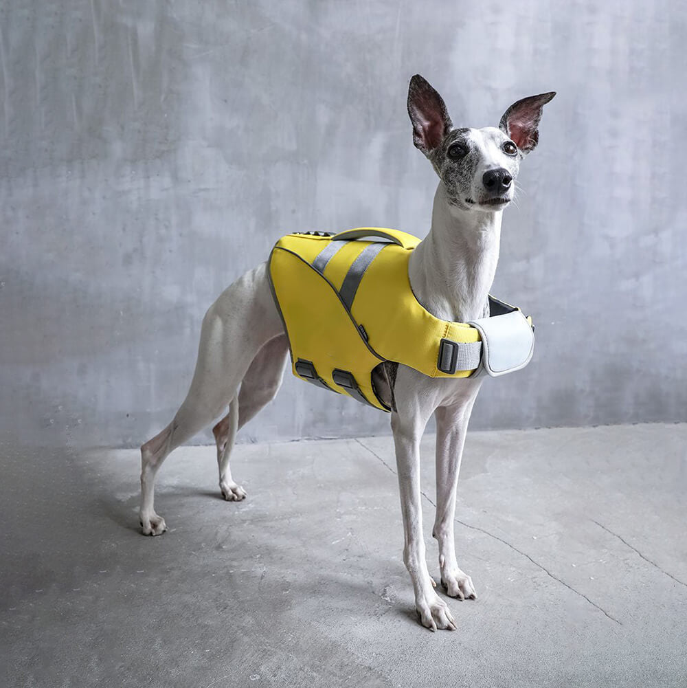 Gilet de sauvetage pour chien - Sauveteur