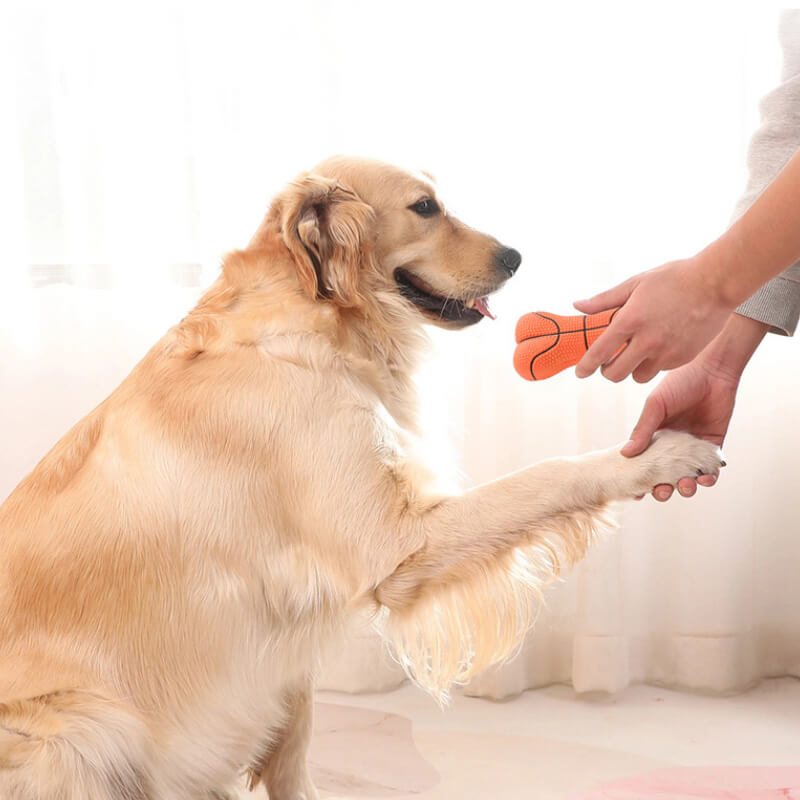 Jouet à mâcher pour chien en forme d'os grinçant durable