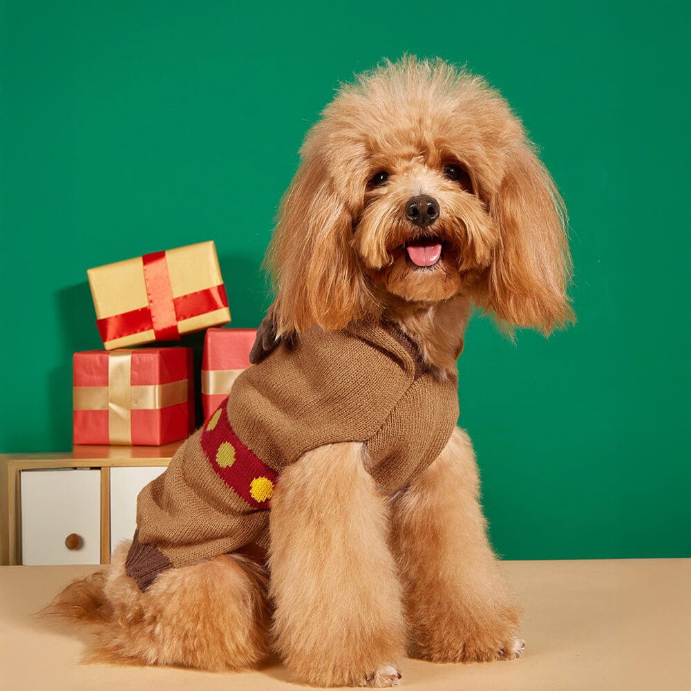 Pull de noël à col roulé pour chien, épais et chaud, chaussettes assorties pour animal de compagnie et propriétaire